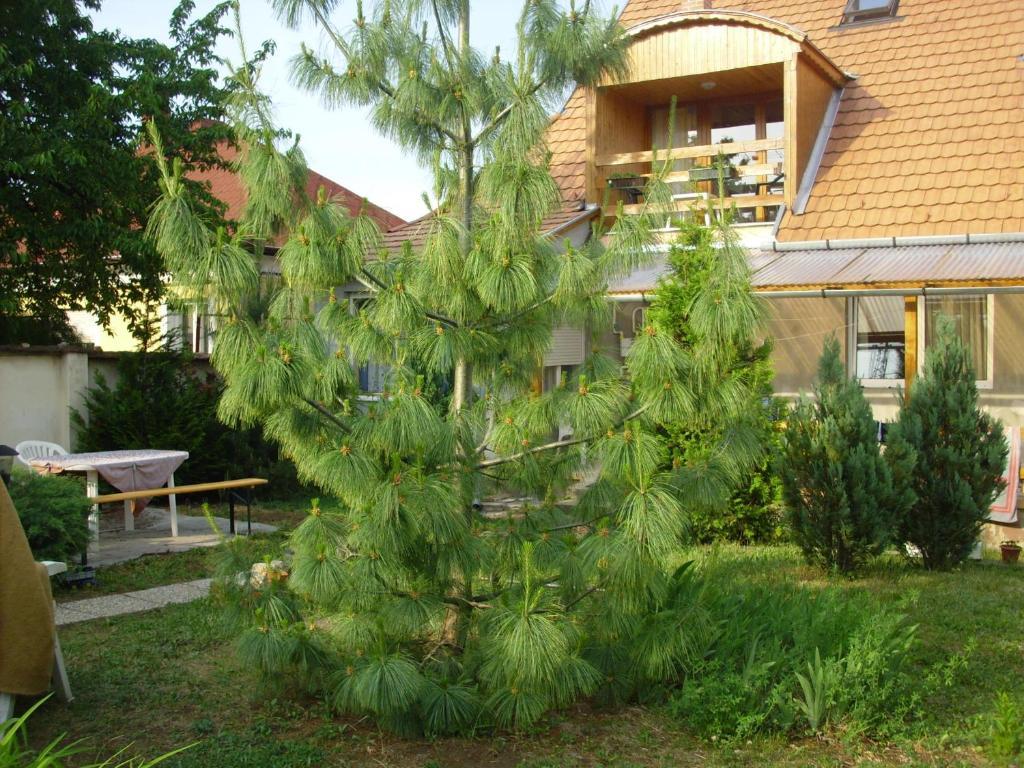Komfort Apartman Эгер Экстерьер фото